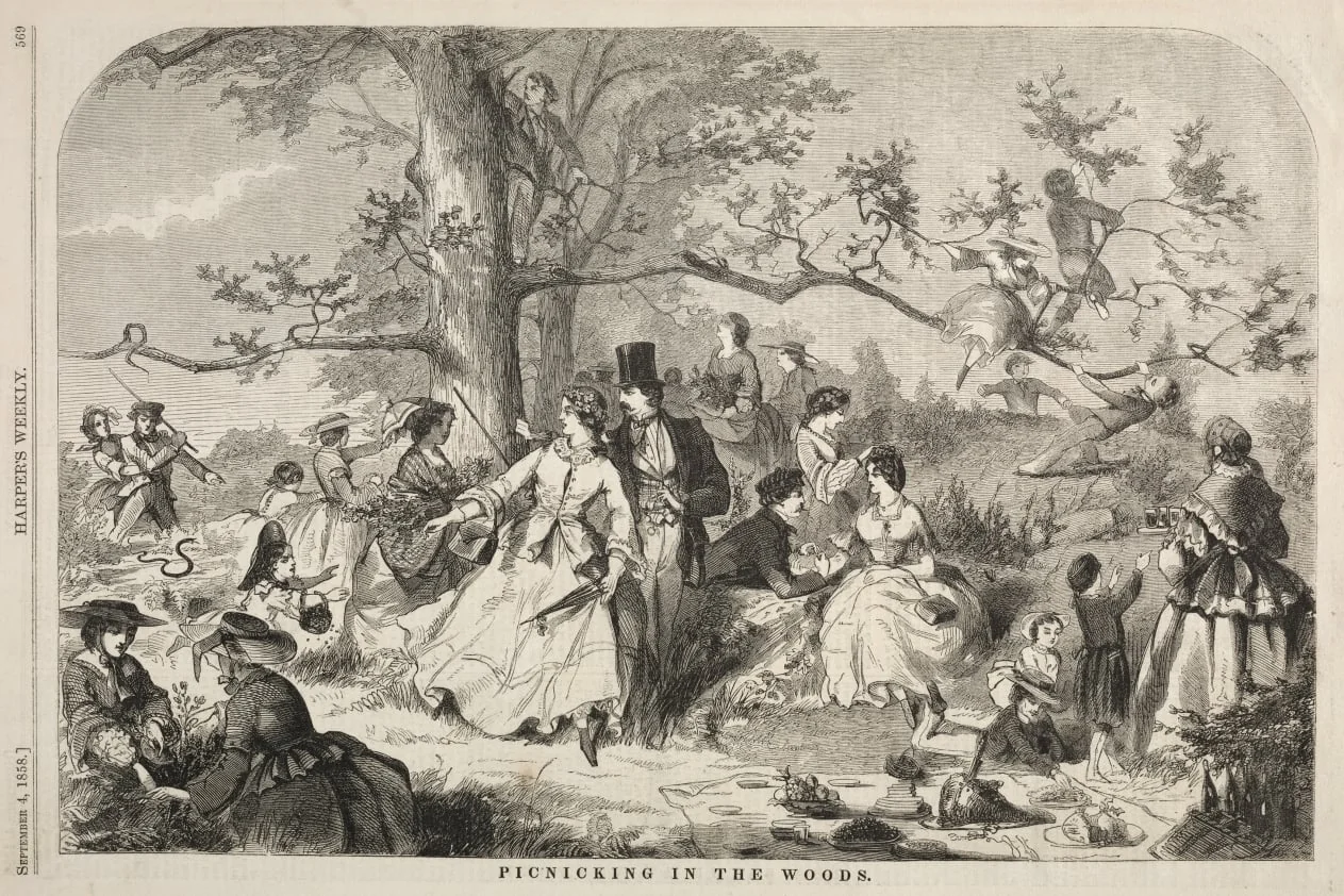 Picknicking in the Woods, by Winslow Homer, 1858
