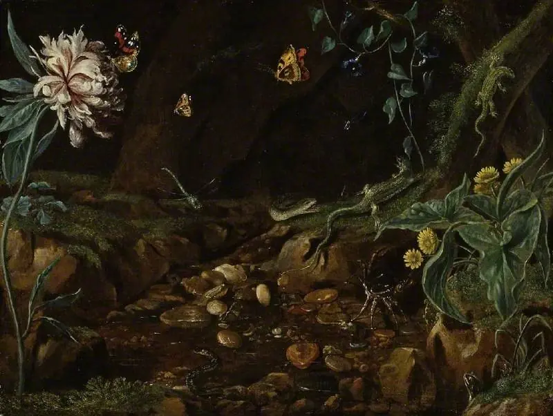 Stream in a dell, with flowers, reptiles, etc...