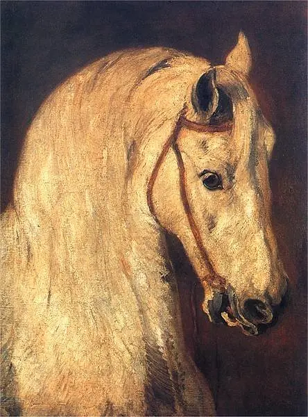 Studium of Horse Head.