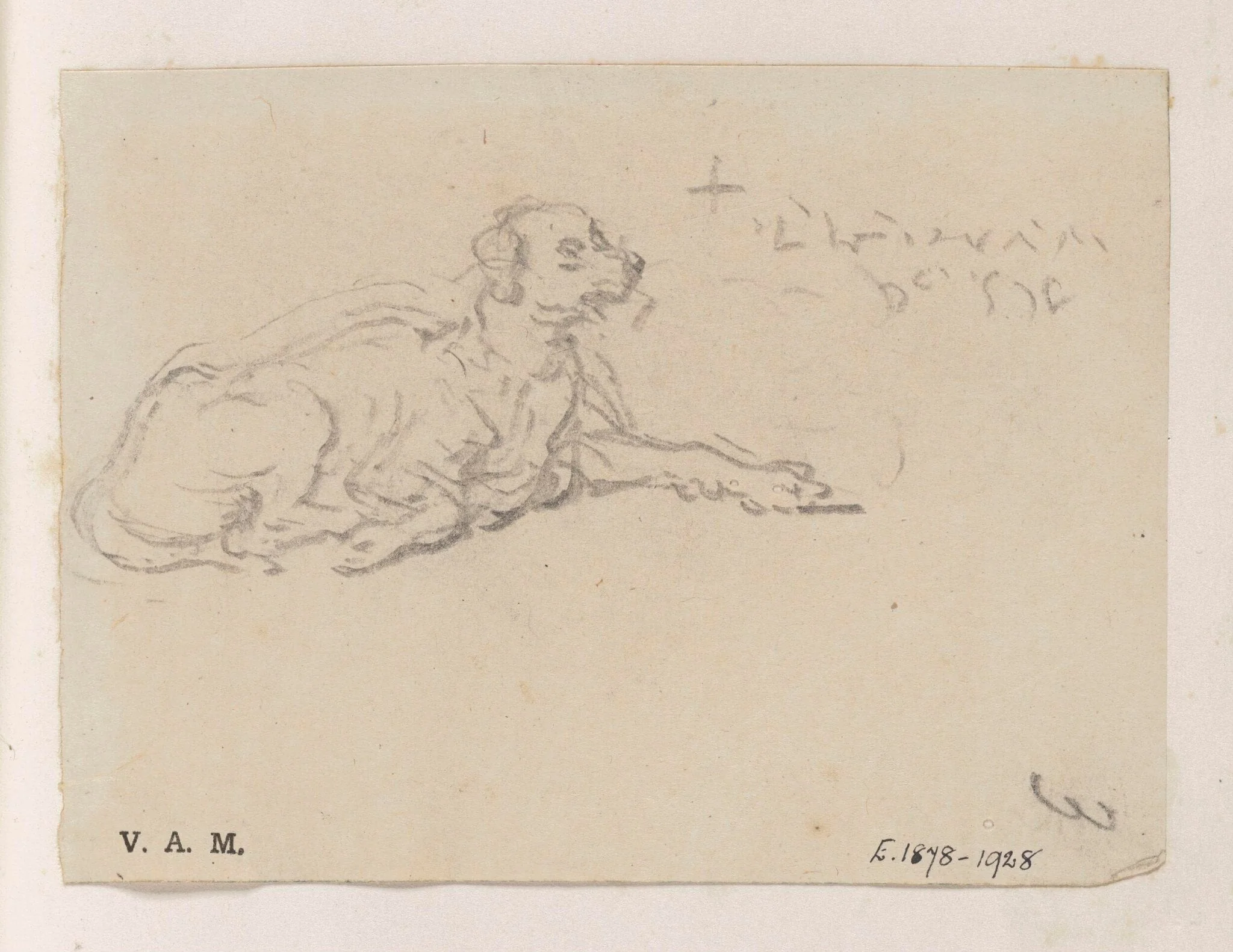 A reclining dog