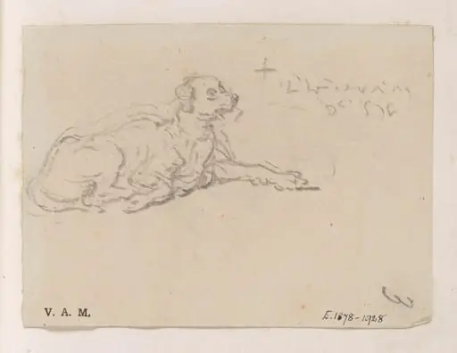 A reclining dog