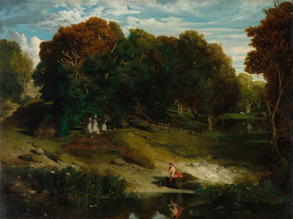 In the Forest
