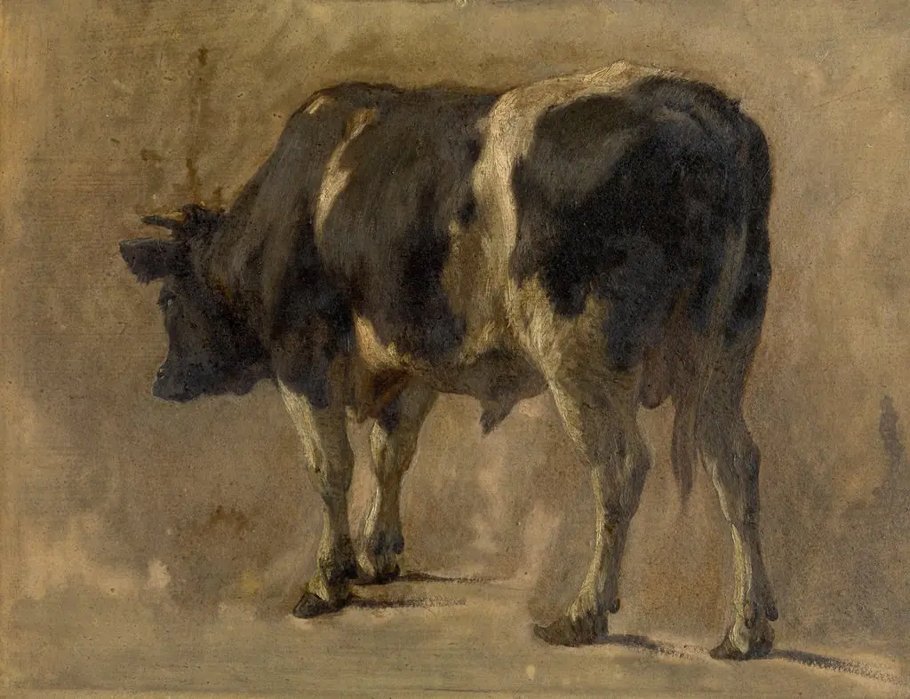 Bull