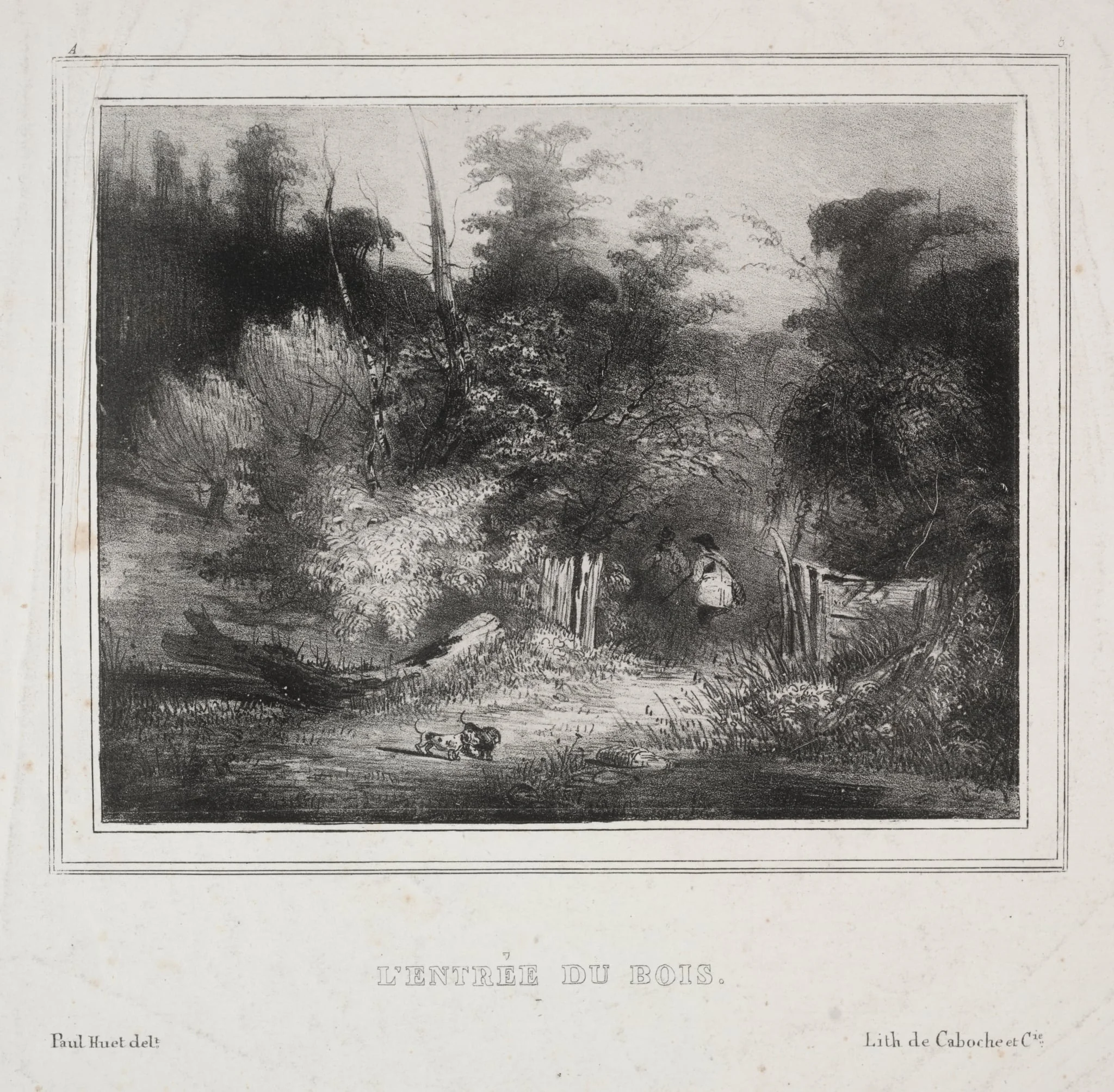 Landscapes:  The Entrance of a Forest