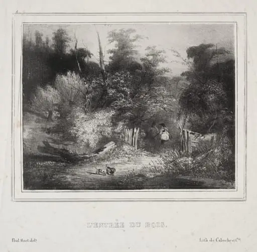 Landscapes:  The Entrance of a Forest