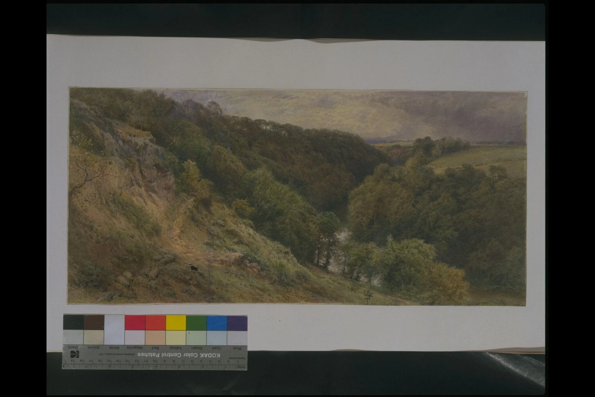 A Dell in Devonshire, by Myles Birket Foster, watercolor, 1845