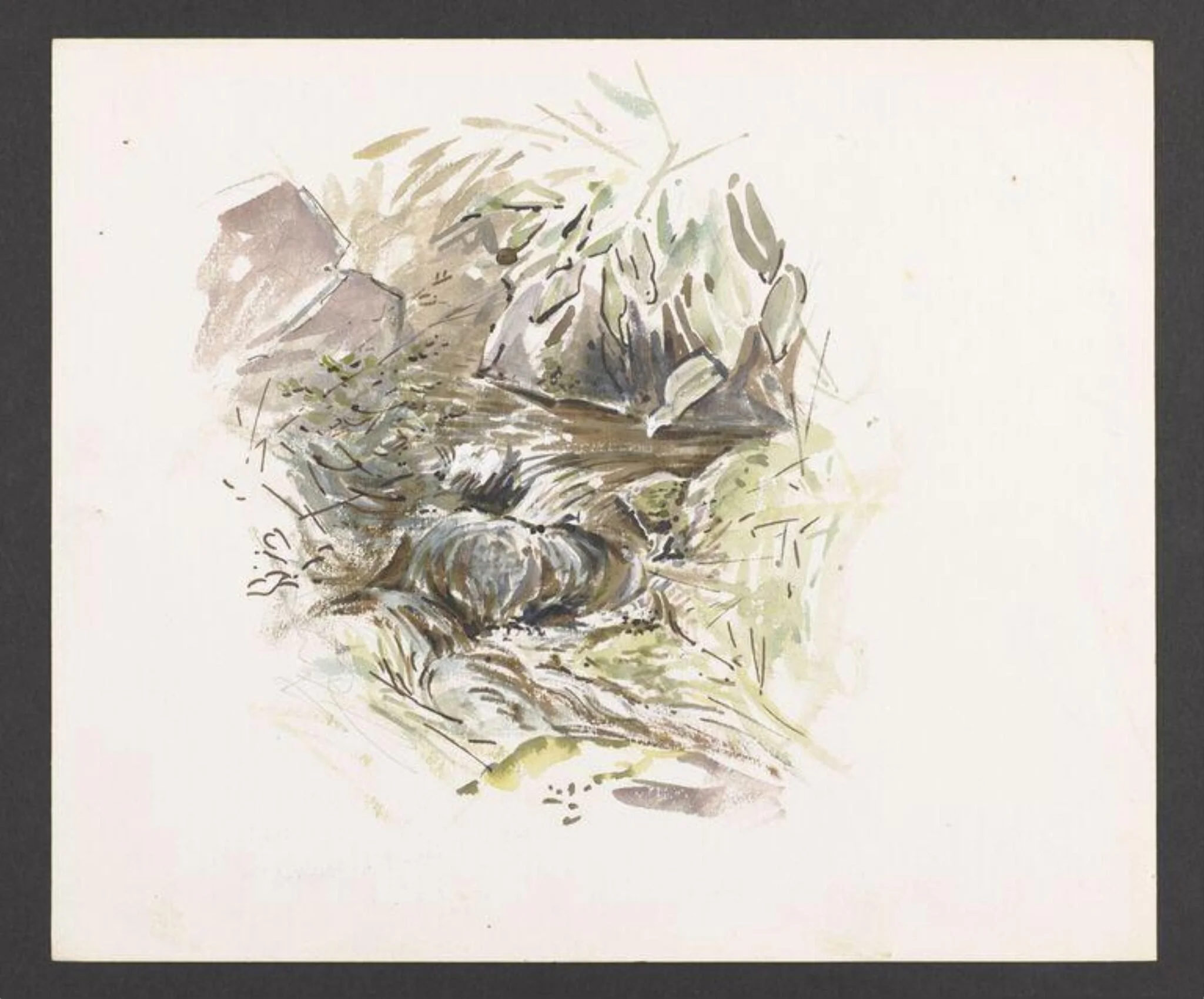 Study of a stream with boulders, by Beatrix Potter, watercolor, 1950