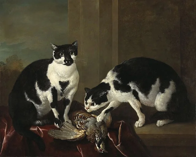 Two Cats