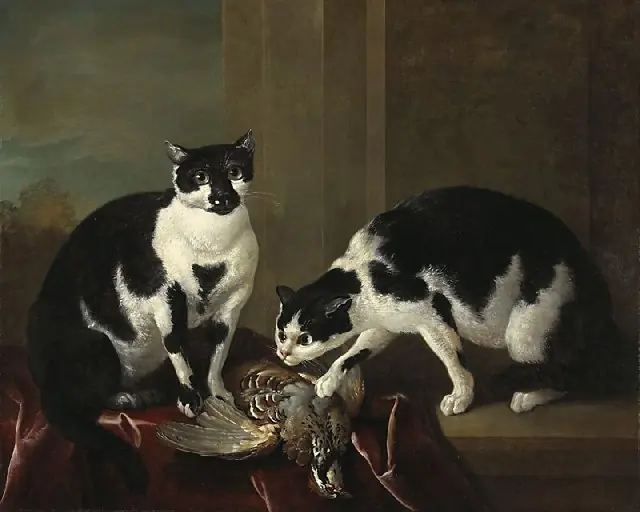 Two Cats