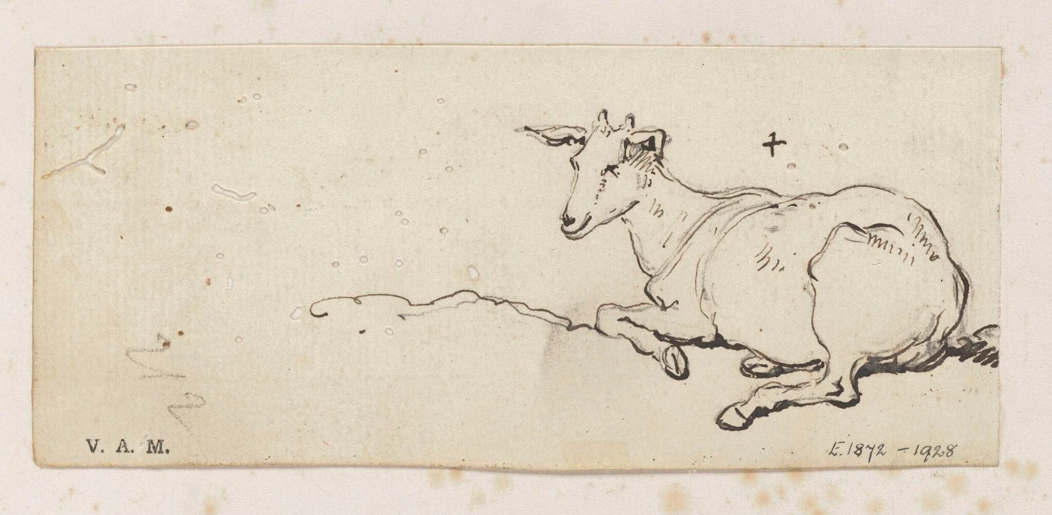 A young goat, by George Chinnery, 19