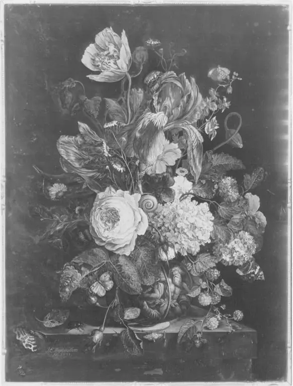 Q29901995