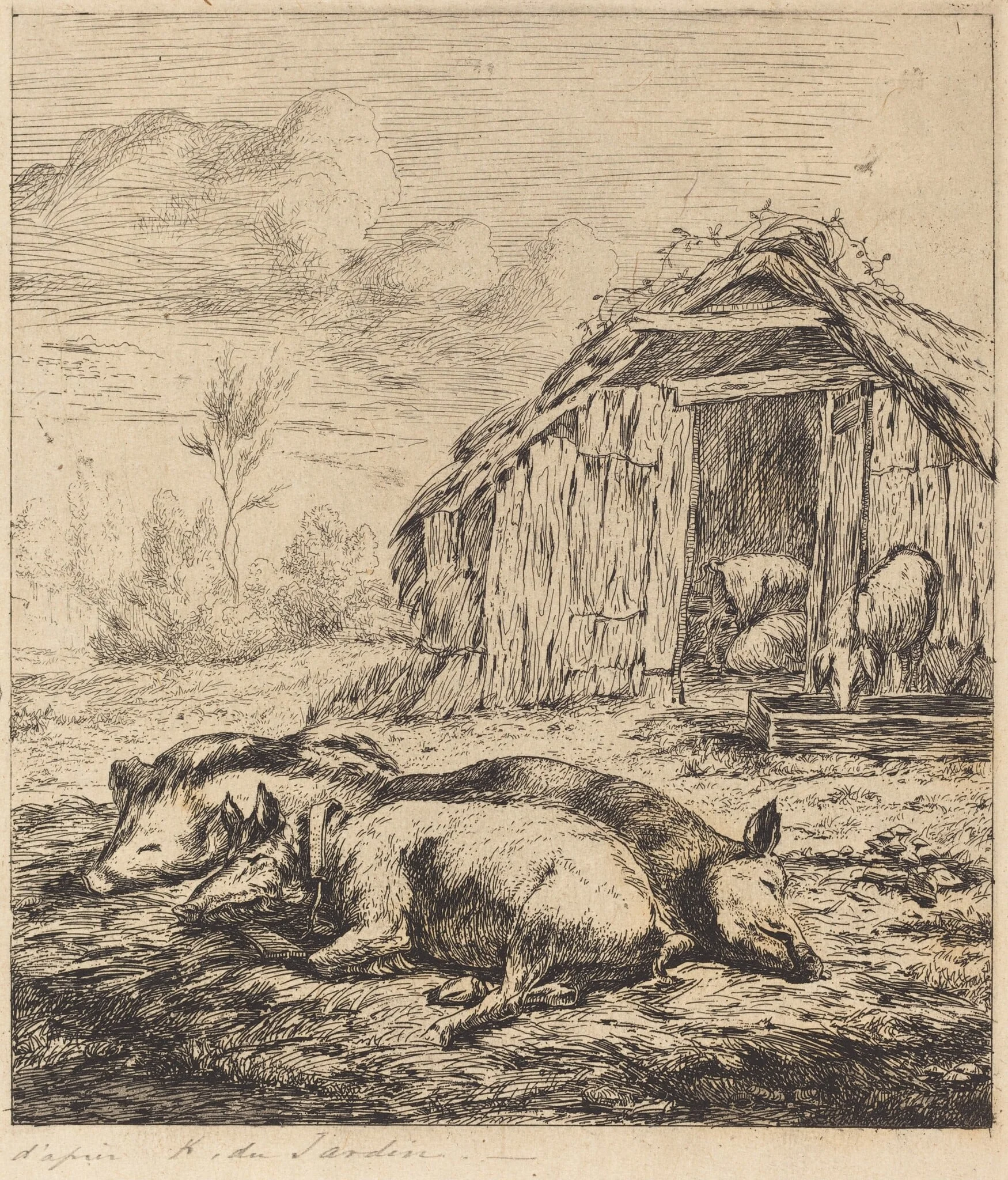 Les trois cochons couchés devant l'étable (Three Swine Lying In Front of a Sty), by Charles Meryon, ink, 1850