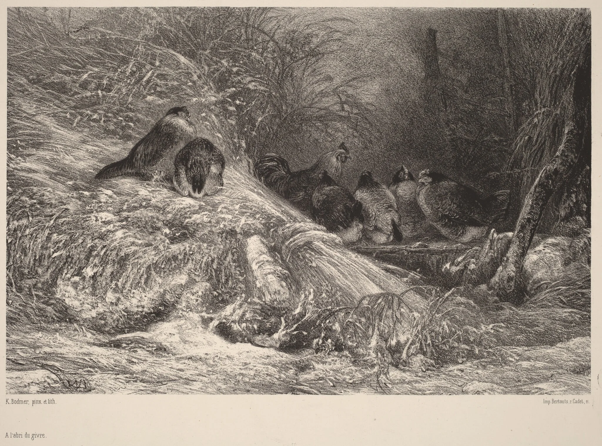 A l'abri du givre