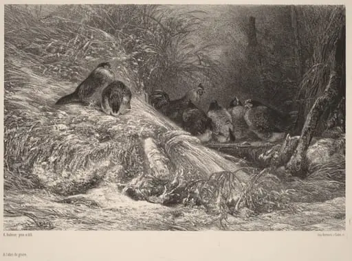 A l'abri du givre