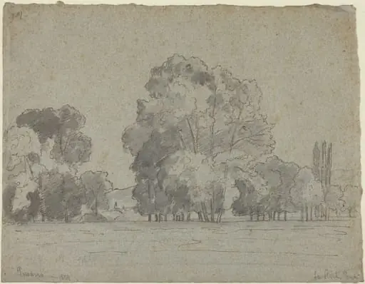 Grove of Trees