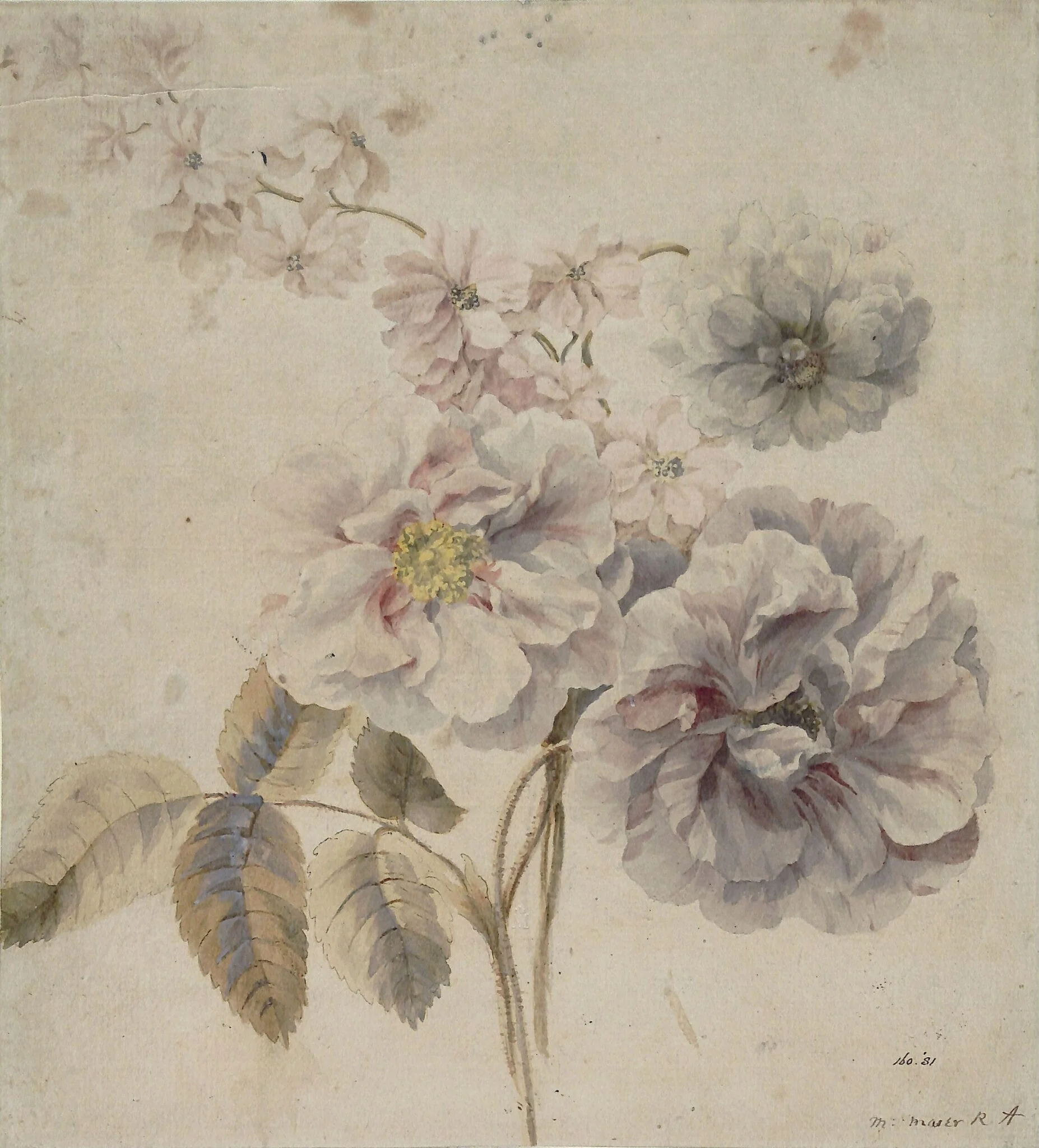 Roses, and other flowers, by Mary RA Moser, watercolor, 1770