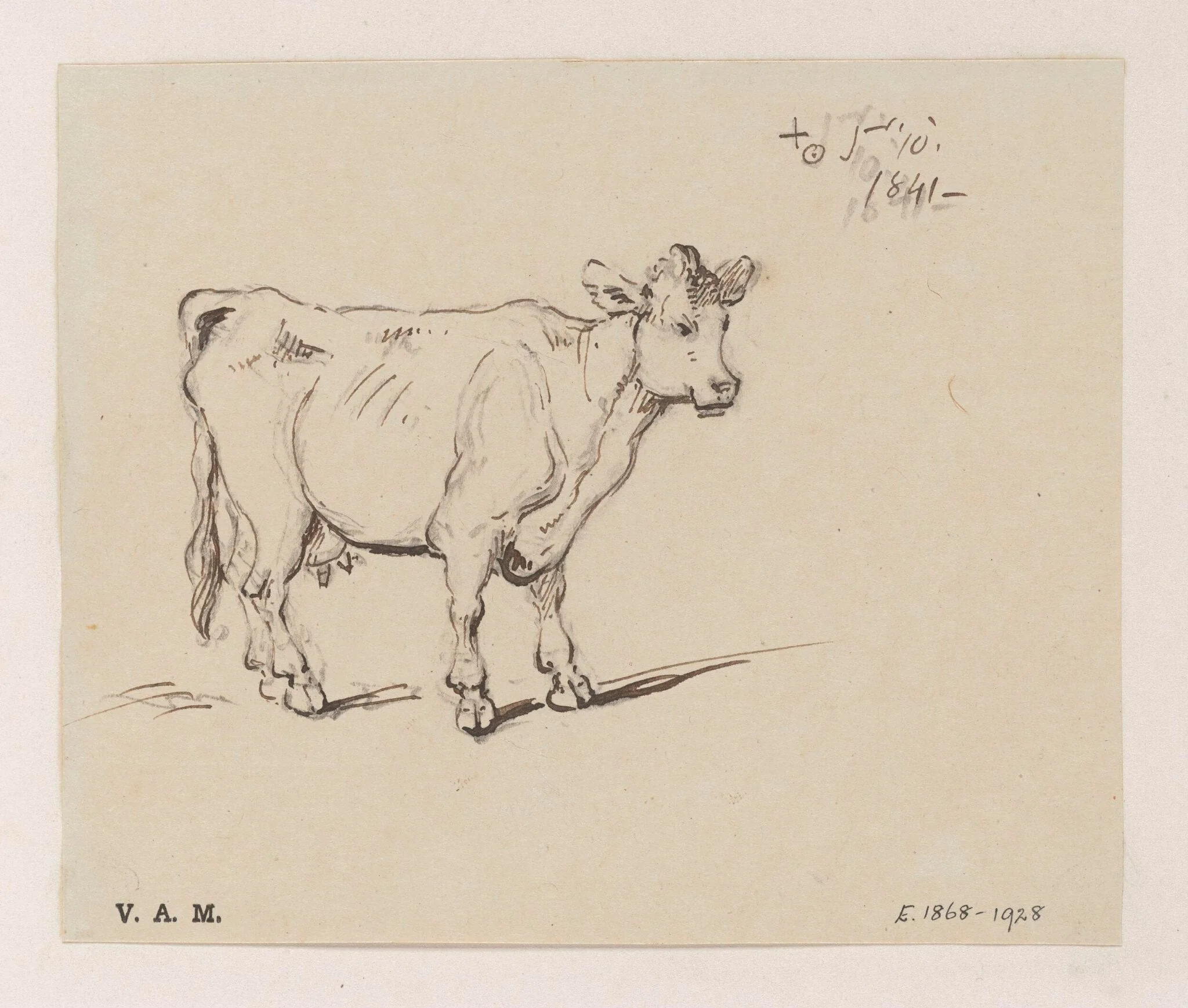 A study of a cow, by George Chinnery, 6
