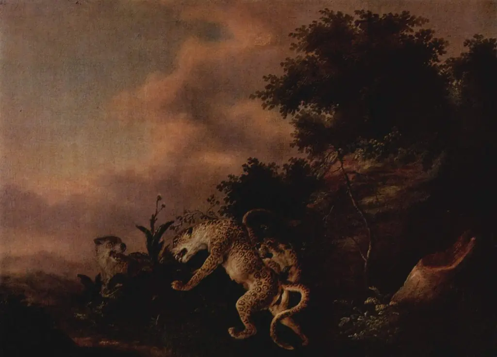 Leopards Attacking a Wild Boar