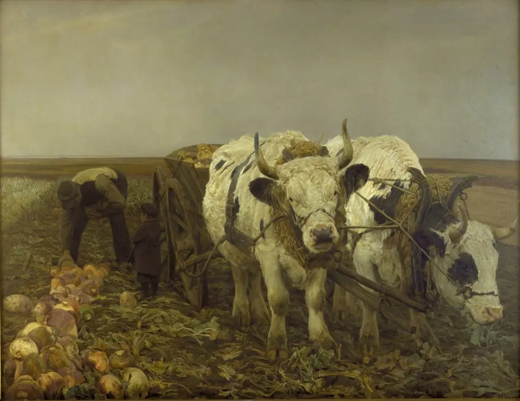 Roeoptagning