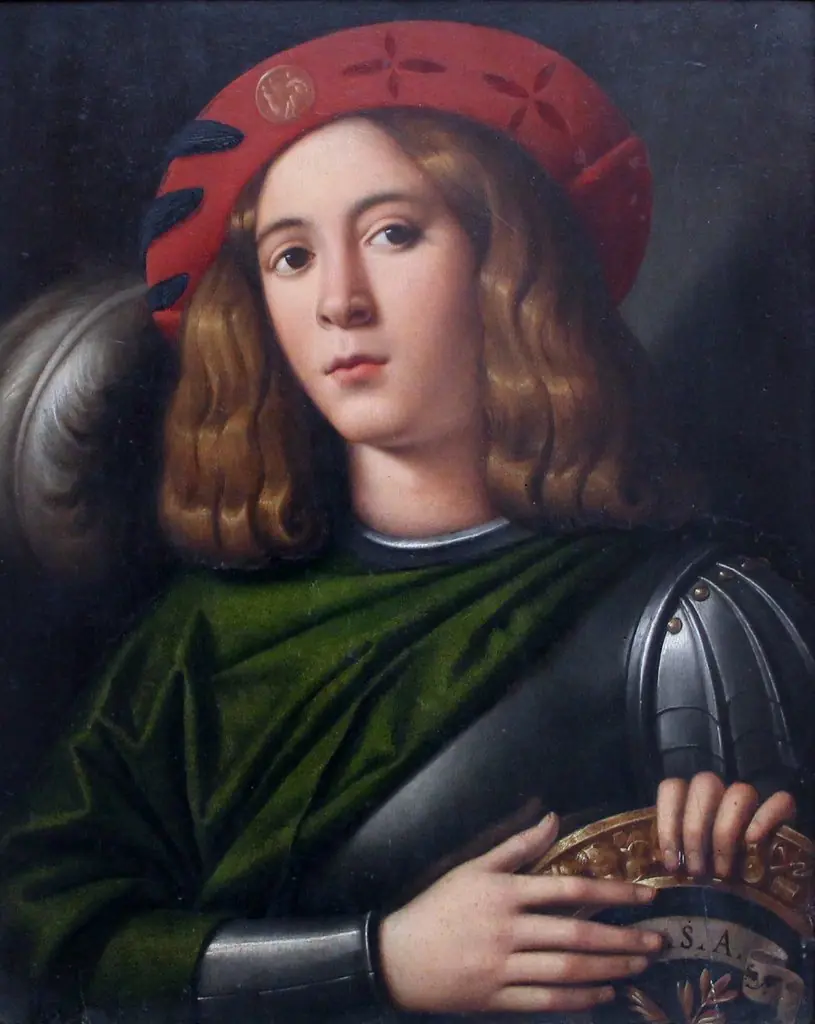 Young man in armor