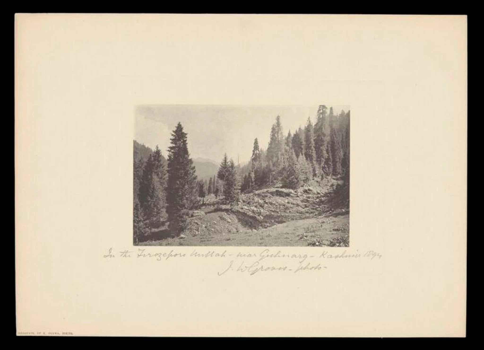 In the Ferozepur Nallah, near Gulmarg, Kashmir, by J.W. Groves, photographic, 1894