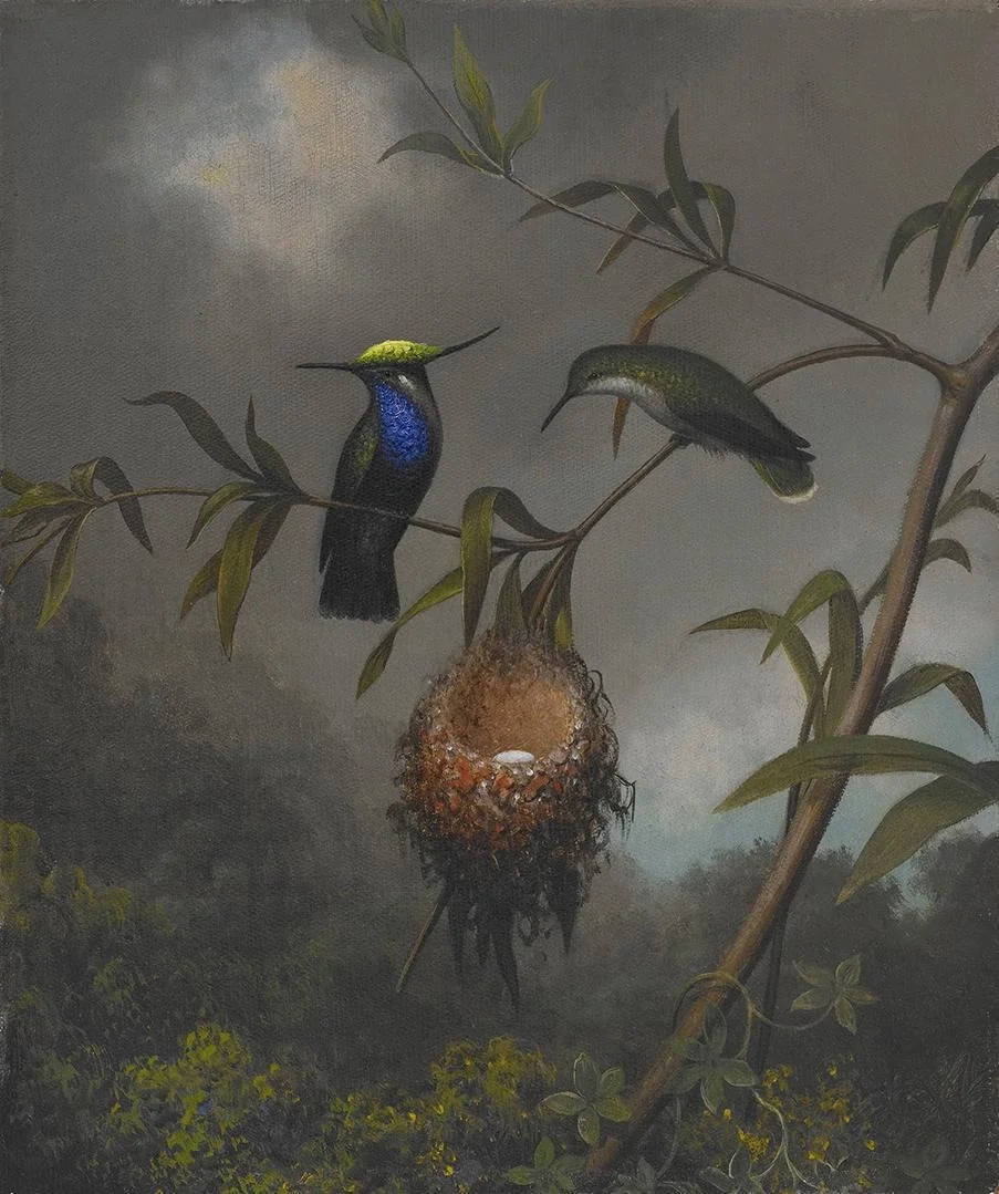 Black-breasted Plovercrest, by Martin Johnson Heade, oil, 1863