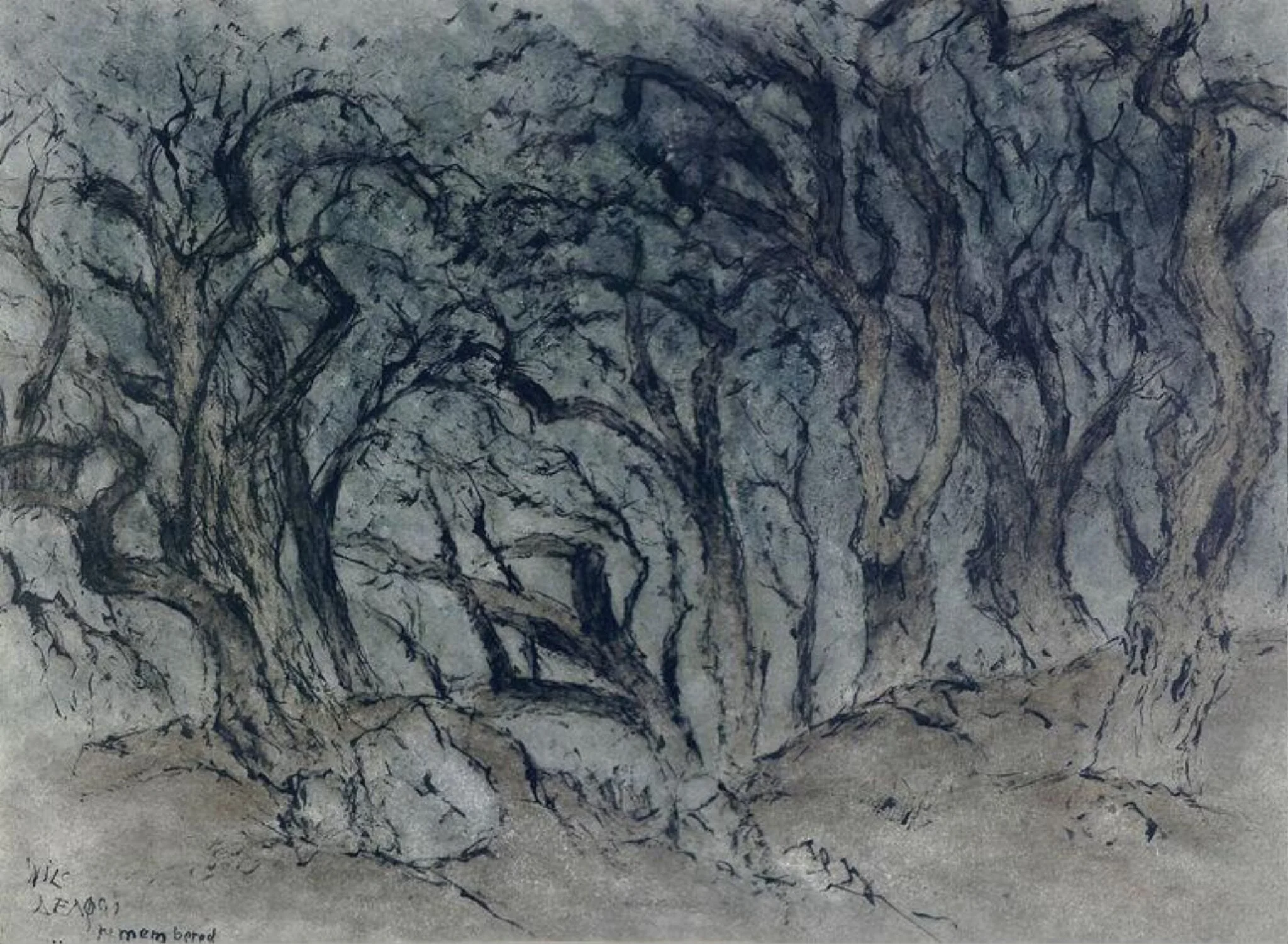 Olive Grove at Delphi