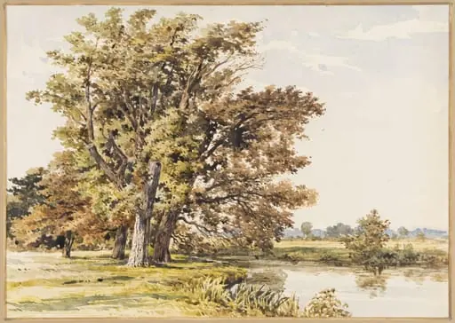 River scene in Surrey