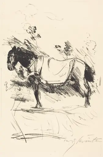 Reitpferd (Riding-Horse)