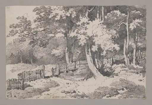 A wooded landscape with a fence and path