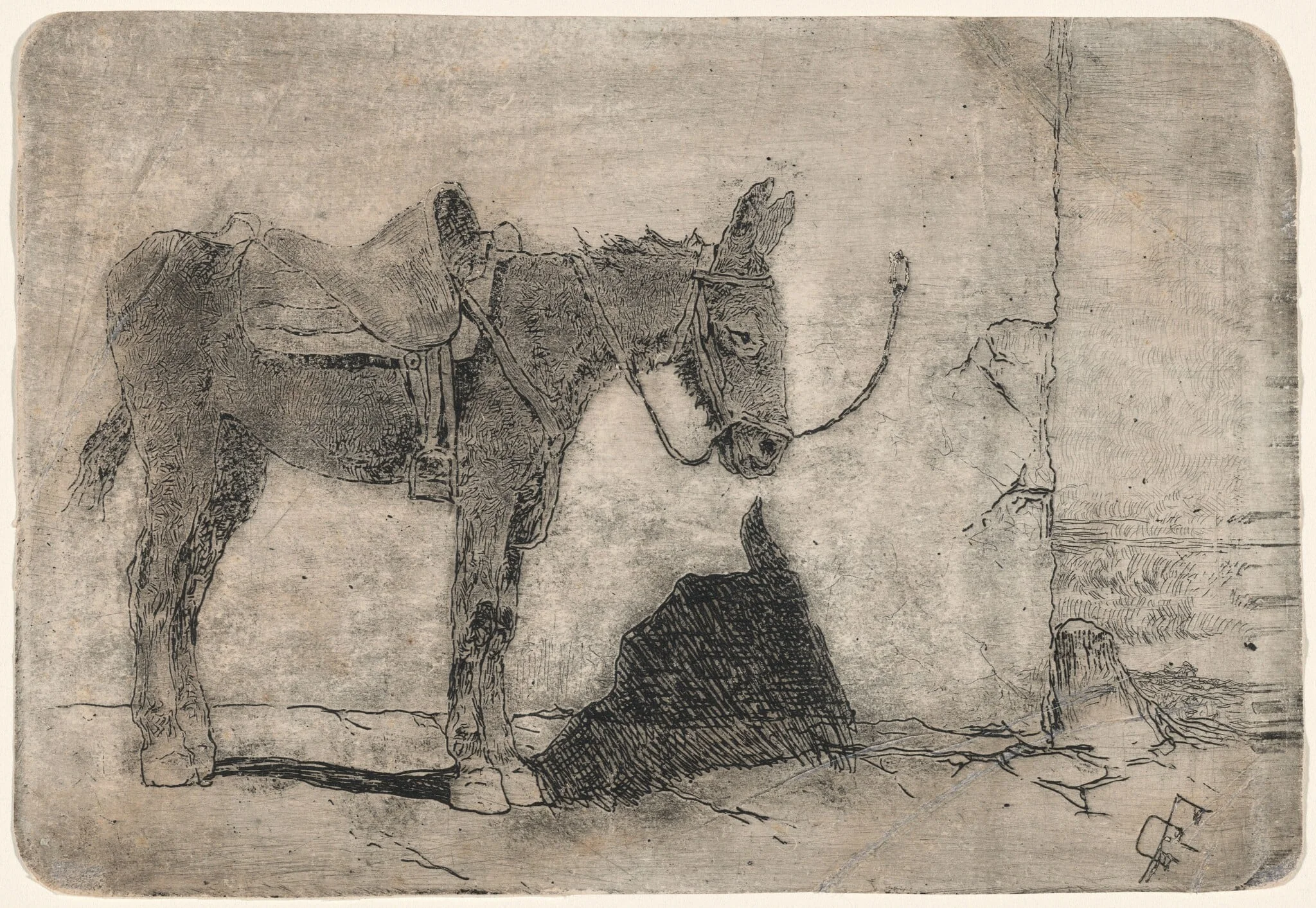 Little Donkey in Sunlight (Somarello al sole), by Giovanni Fattori, ink, 1875