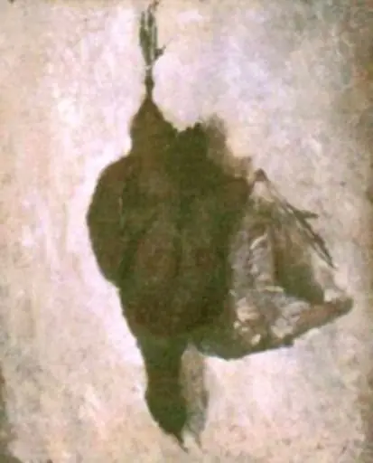 Vânat