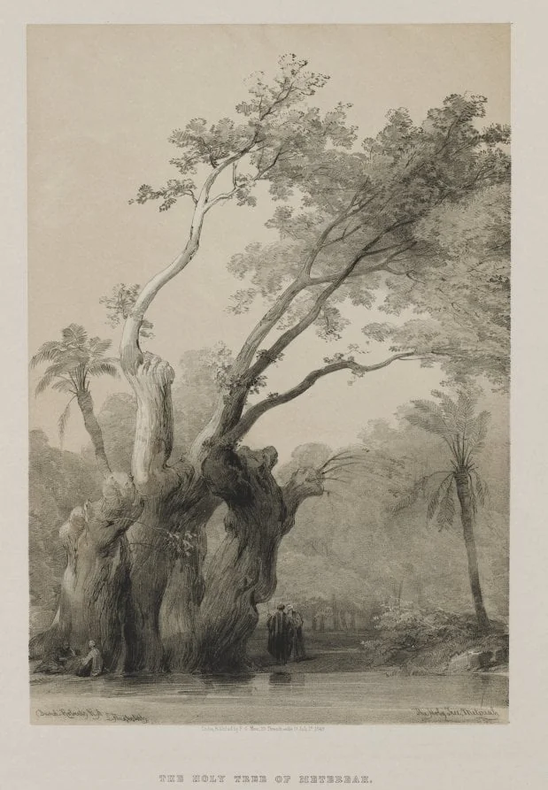 Egypt and Nubia, Volume III: The Holy Tree of Metereah, by Louis Haghe, 1849