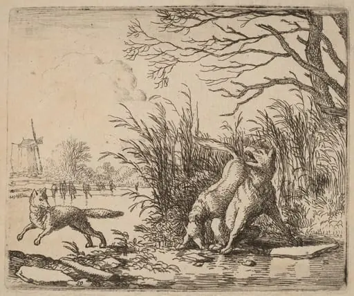 The Wolves on the Ice