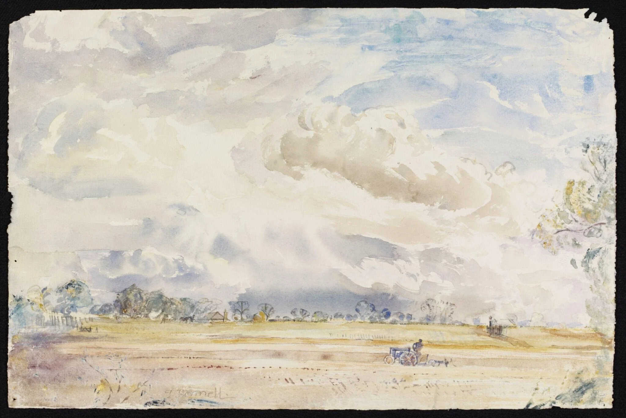 A view at Ridley