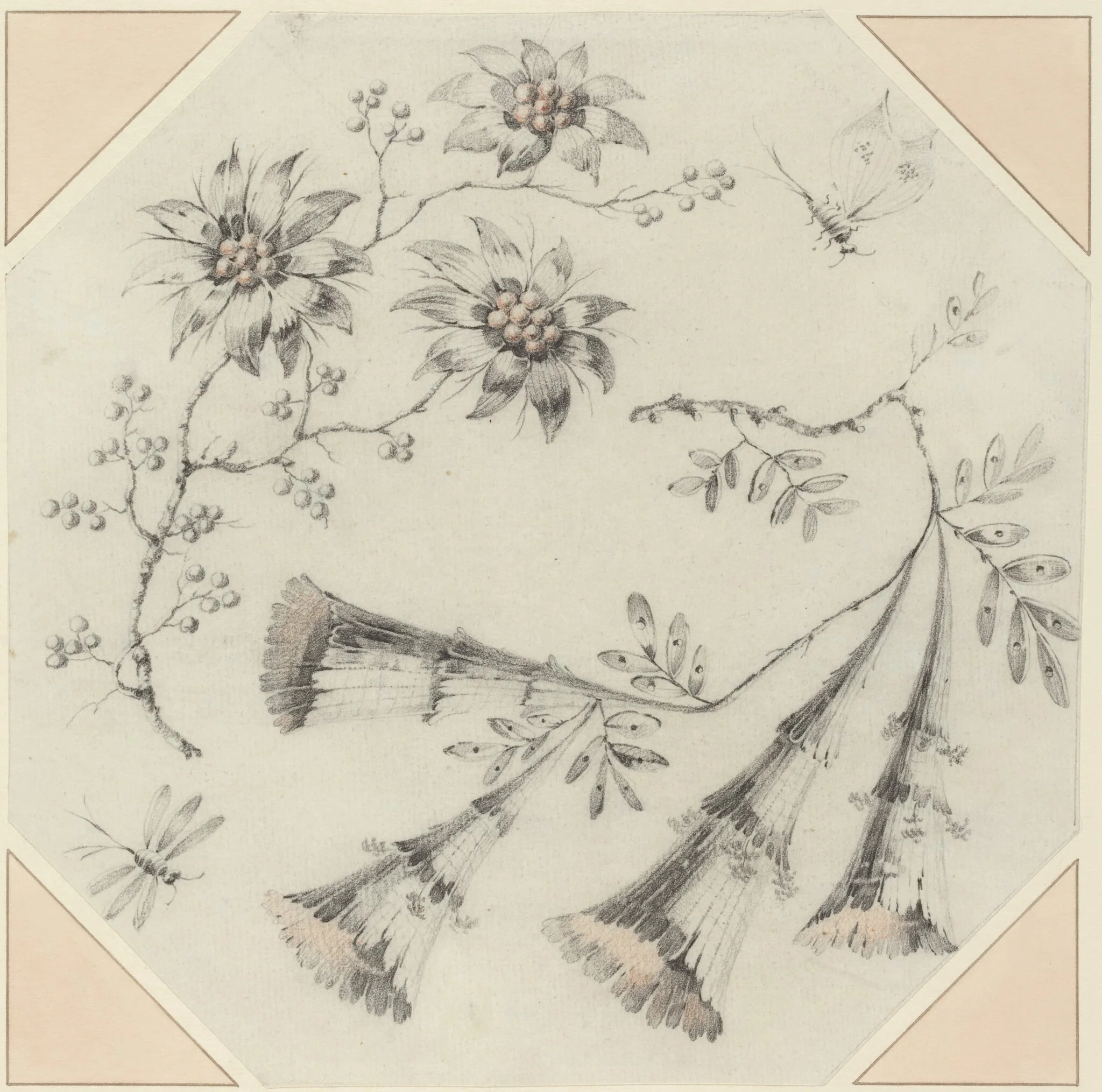 Trumpet Flowers and Daisies