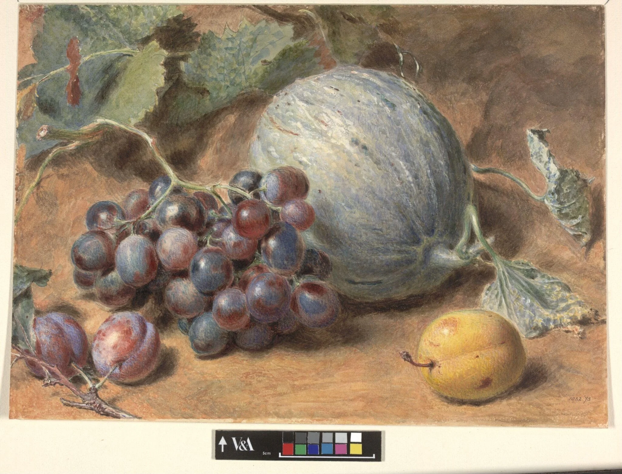 Grapes, a Melon and Plums