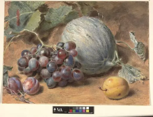 Grapes, a Melon and Plums