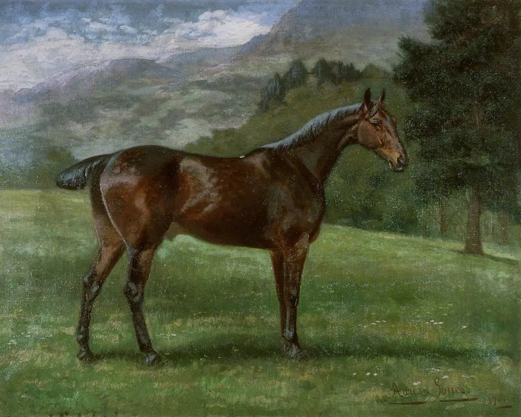 Horse
