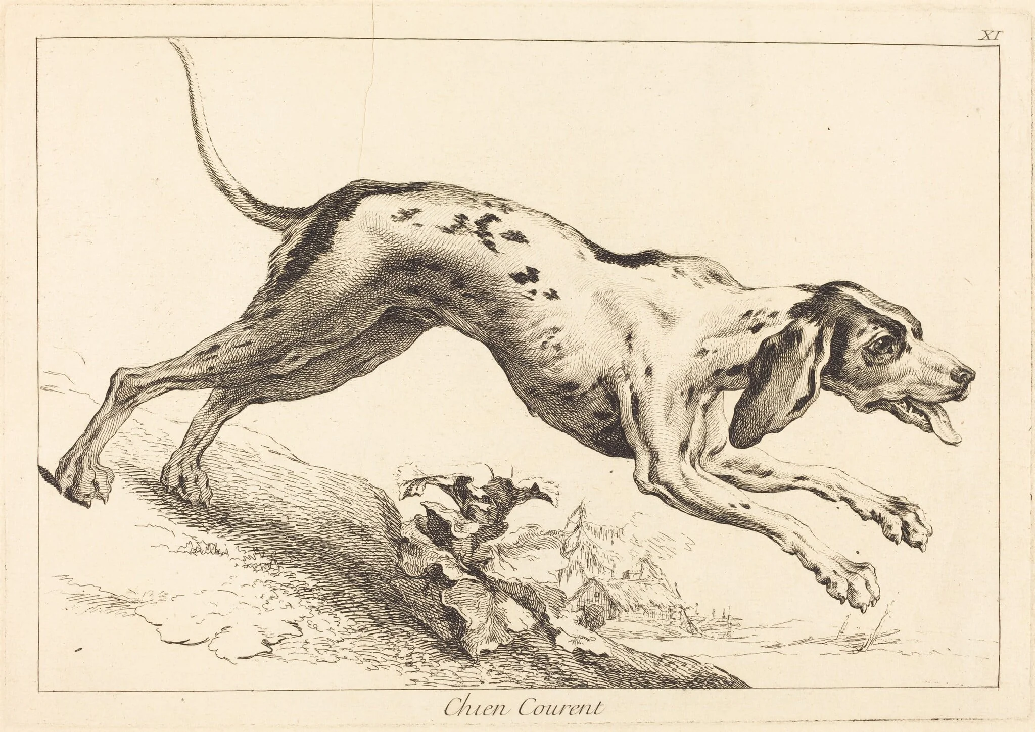 Chien courent (Running Hound), by Jacques-Philippe Le Bas, ink, 1745