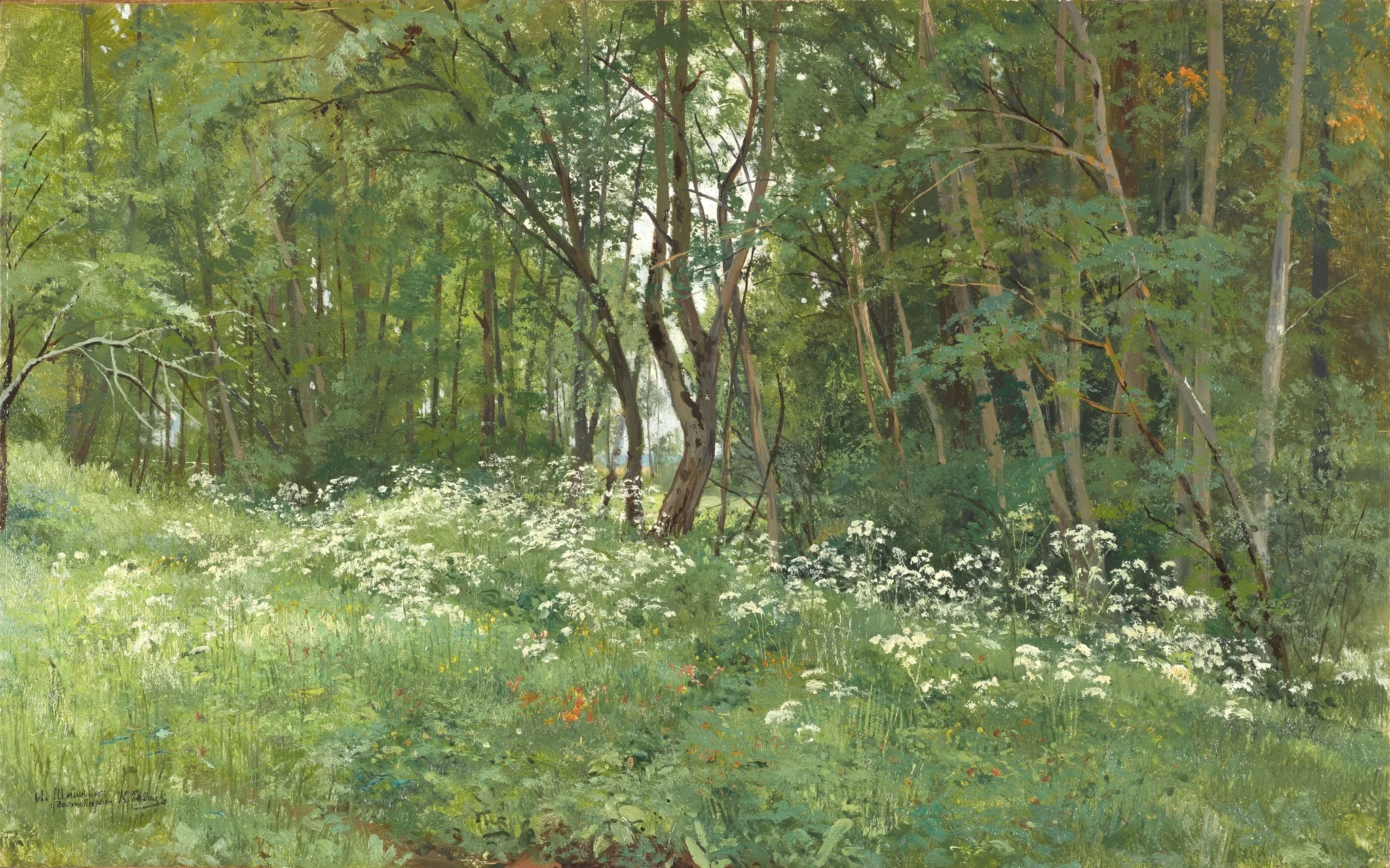 Flowers on the Edge of the Forest