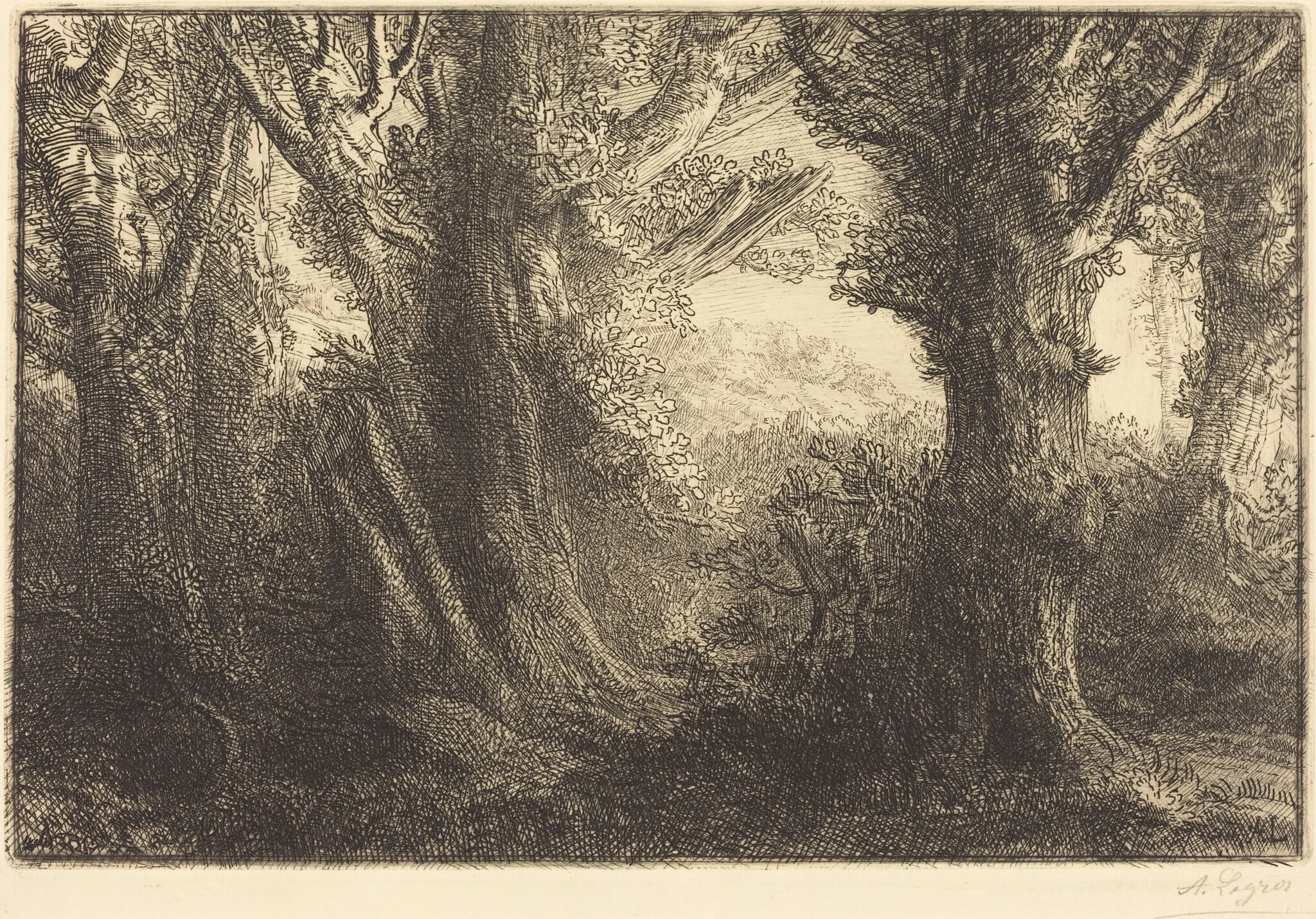In the Forest of Conteville  (Dans la foret de Conteville)