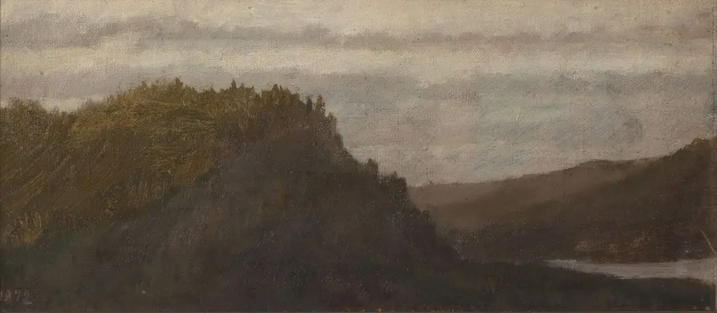 Forest landscape
