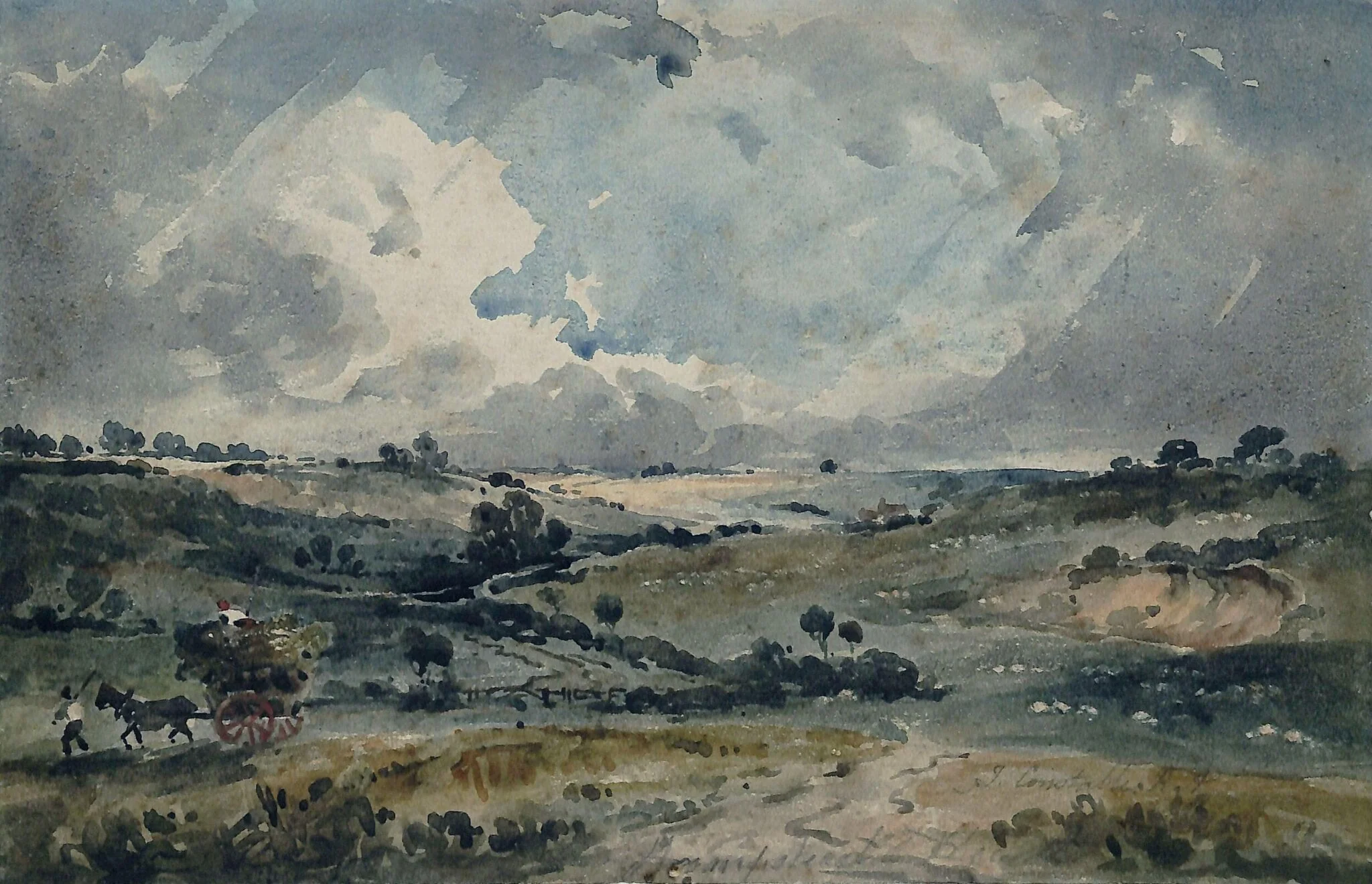 Hampstead Heath