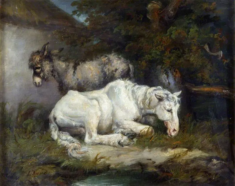 Horse and Donkey