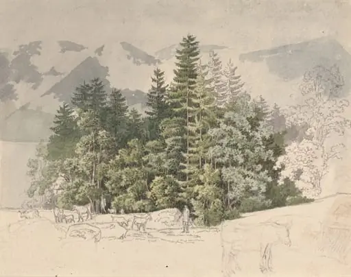 Alpine Landscape