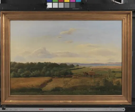 A Funen Landscape at Harvest Time with Wedellsborghoved in the Background