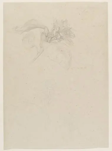 Lemon blossom. Capri