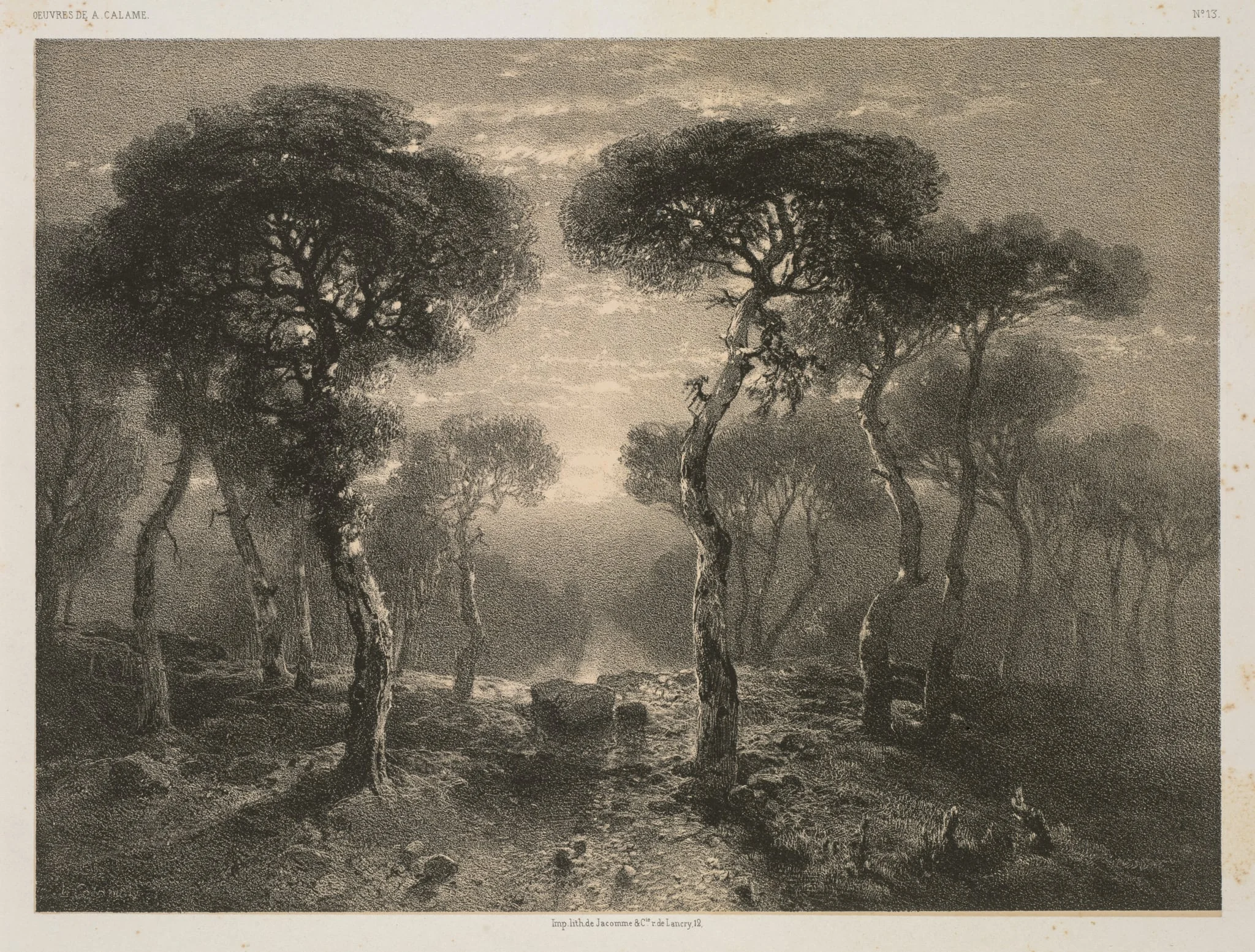 Oeuvres de A. Calame, No. 13: Forêt de Sierre en Valais, by 12, Paris Jacomme & Cie. R. de Lancry, 1843