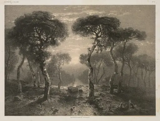 Oeuvres de A. Calame, No. 13: Forêt de Sierre en Valais